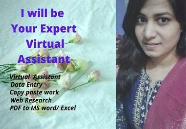 I will be Your Expert Virtual Assistant for your any ...