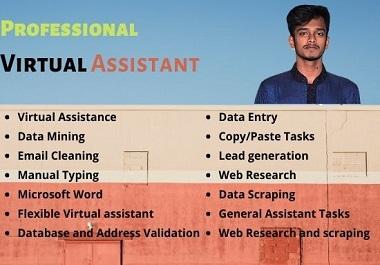 I will be your professional virtual assistant for any...