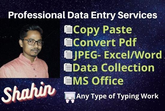 Hire me for Online/Offline Data Entry
