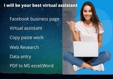 I will be your Virtual Assistant for any kind of task...