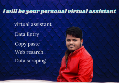 I will be your personal virtual assistant for any kin...