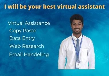 I will be your best virtual assistant for your all ta...