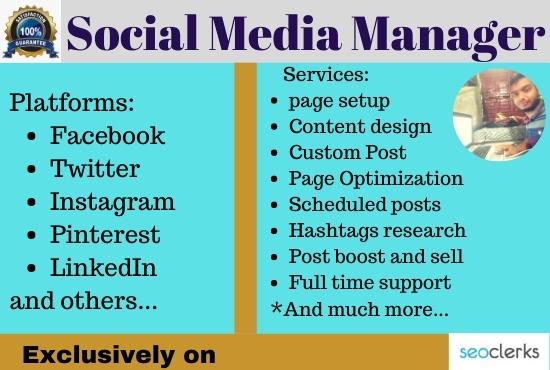 I will be your professional and expert social media m...
