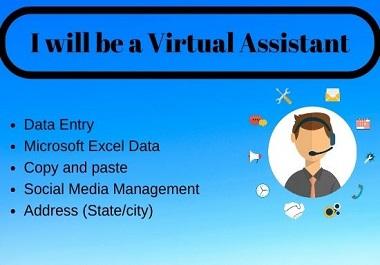I will be your professional virtual assistant for any...