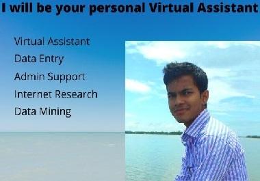 I will be your personal virtual assistant for any pla...
