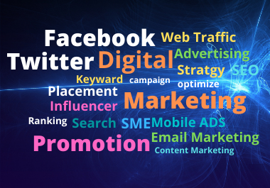 I will be your social media marketing manager for you...