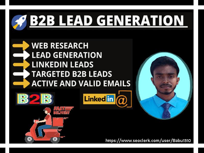 I will provide 50 targeted b2b lead generation and we...