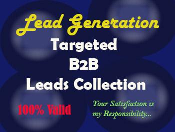 I will do 100 B2B Lead Generation with 100 valid emai...