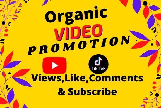I will do organic video promotion with active audienc...