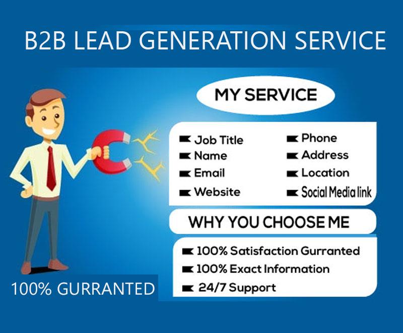 I will do b2b targeted lead generation and web resear...
