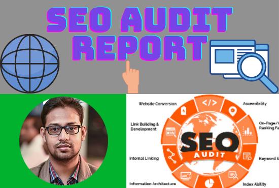 analysis and provide a professional web SEO audit rep...