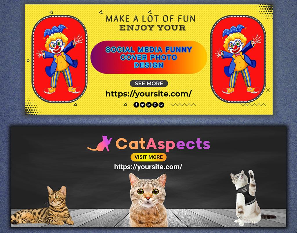 I will do any social media cover photo and funny post...