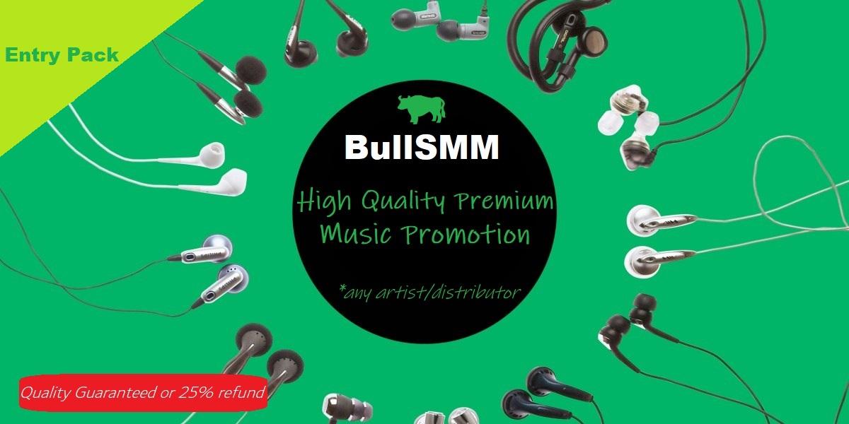 Premium Quality Music Promotion Artist Playlist Song ...