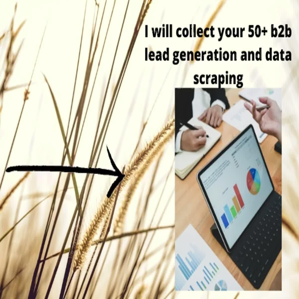 I will collect your 50+ b2b lead generation and data ...