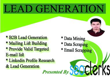 I provide and ensure lead generation for b2b and veri...