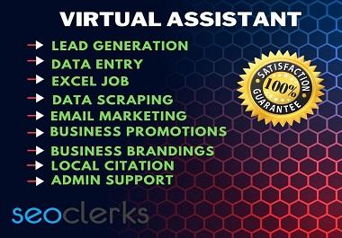I will be your Professional and well Organized Virtua...