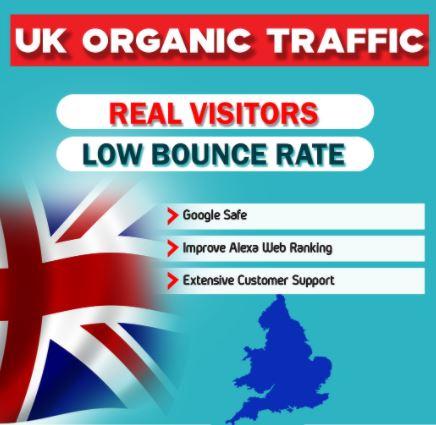 I will drive real organic targeted traffic to your we...