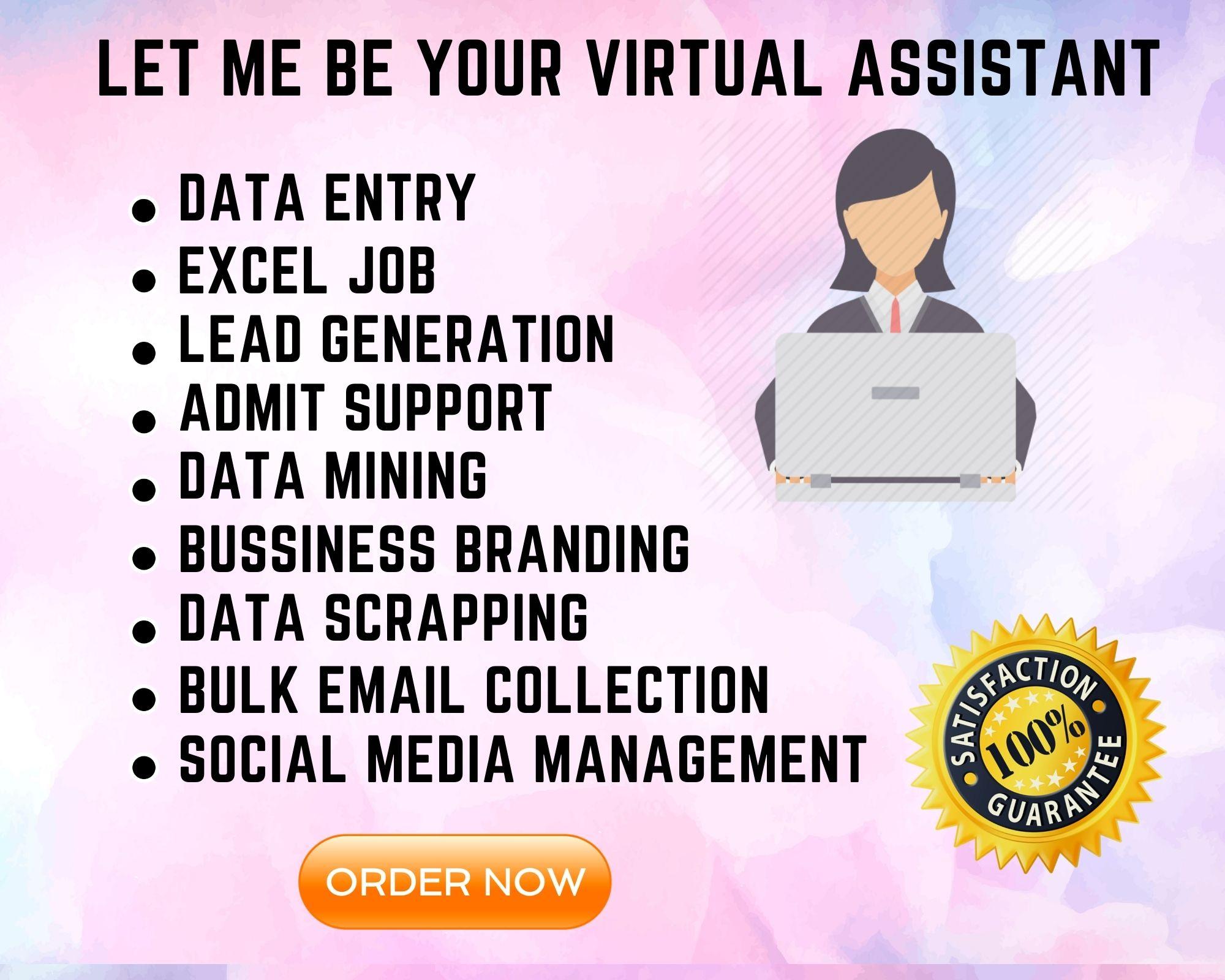 I will be your credible Virtual Assistant for Data En...