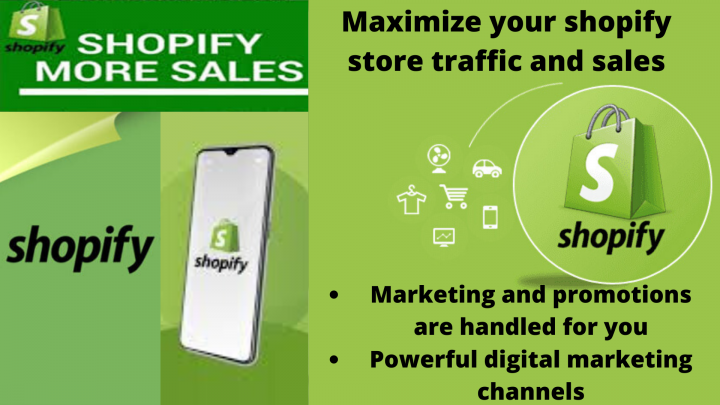 I will do shopify klaviyo ecommerce email marketing c...
