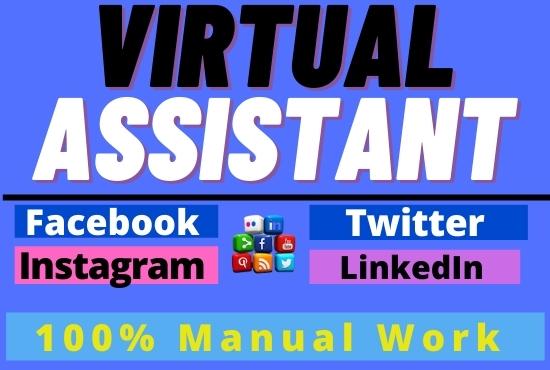 I will be your virtual manager and personal SEO assis...