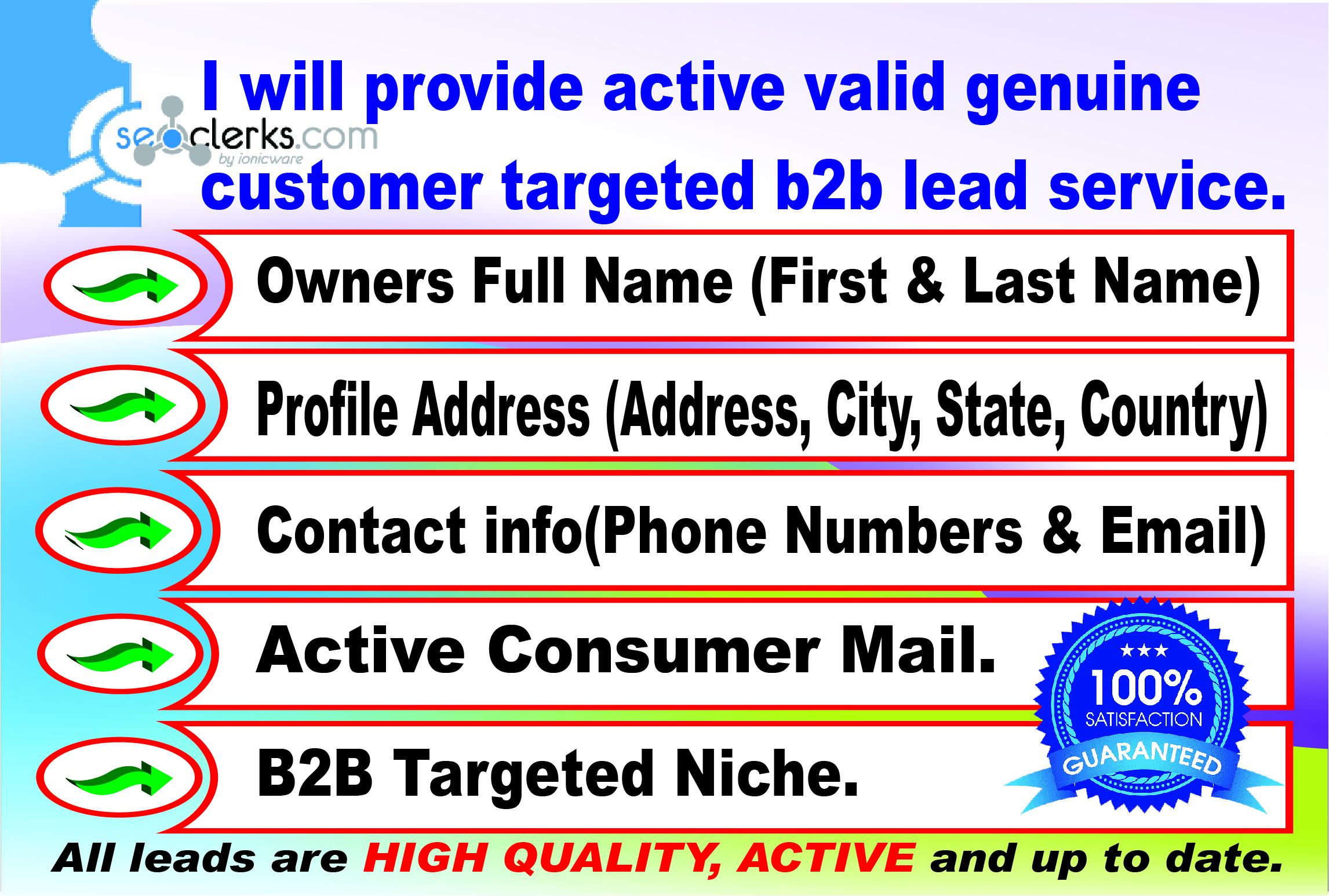I will do b2b, b2c, targeted customer lead service