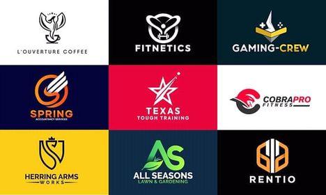 I will do professional logo design and Brand Identity