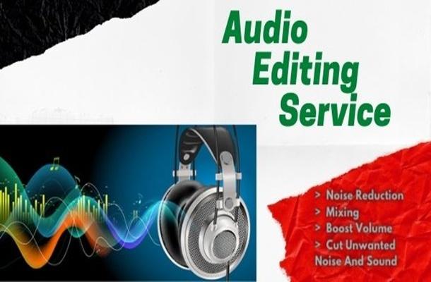 I will edit your audio recording/podcast by reducing ...