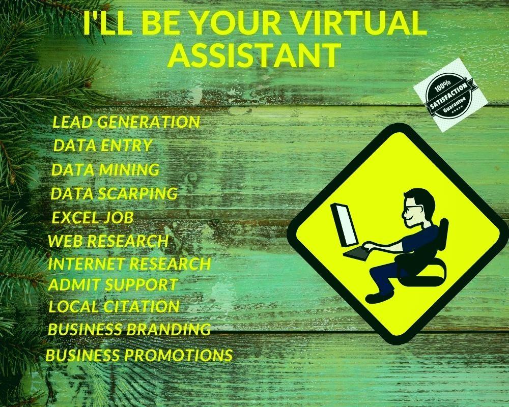 I will be your professional and best organized Virtua...