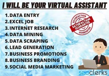 I'll provide you all kinds of service as your VIRTUAL...