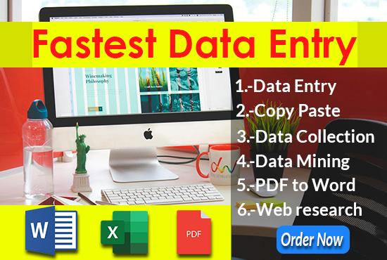 I will be your virtual Assistant for fastest Data Ent...