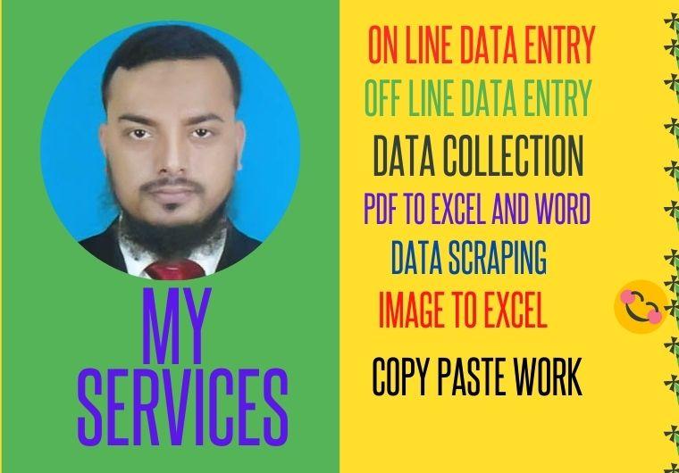 I will do data entry, copy paste and web analysis fo...