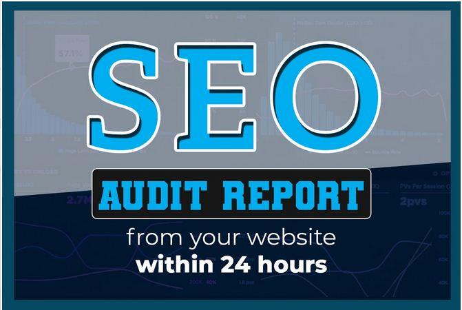I will professionally audit your website and provide ...