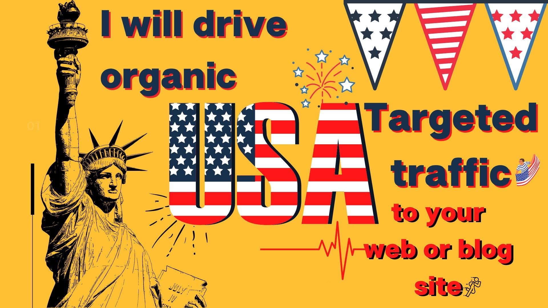 I will drive 2000 organic USA targeted traffic to you...