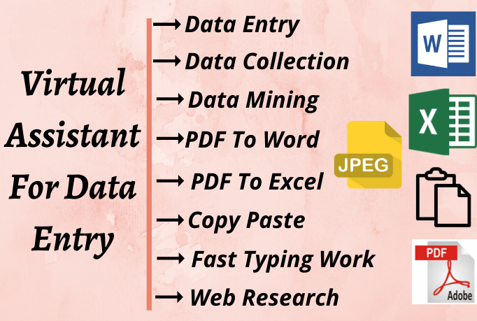 I will be your virtual assistant for data entry proje...
