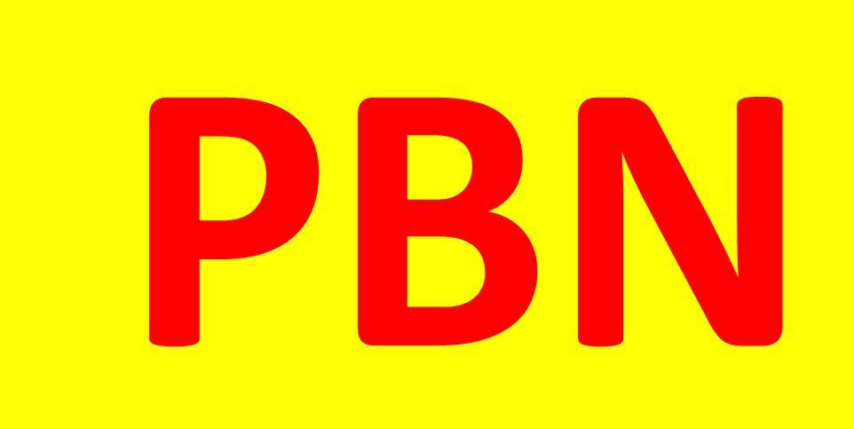 100+PBNs Service For Your Site or Any Link High Metri...