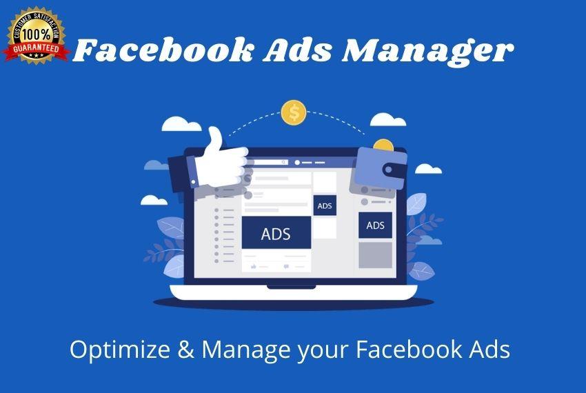I will be your facebook ads manager & ads campaig...