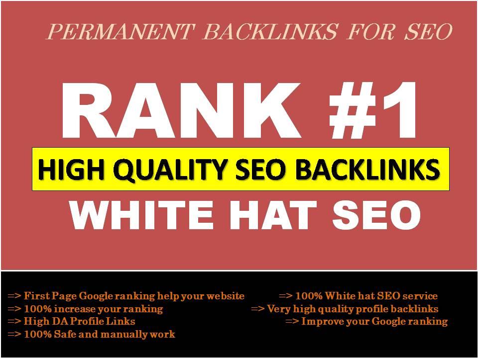 Make authority google ranking with manual high qualit...