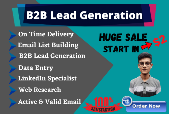 I will do b2b lead generation, web research, data e...