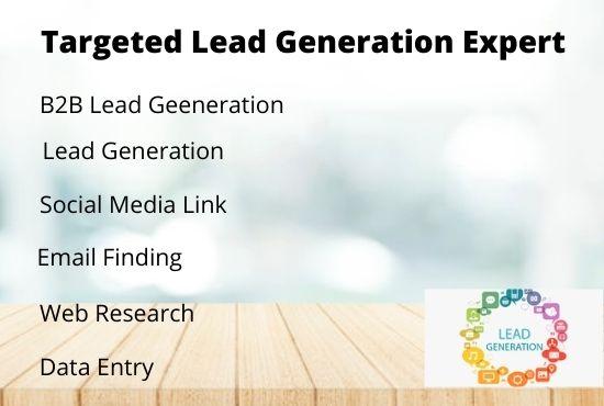 I will do b2b lead generation, web research and terg...