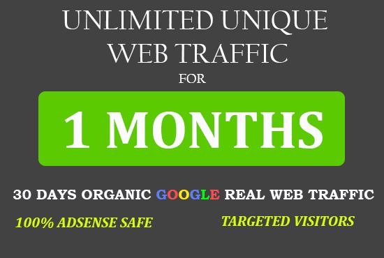 Unlimited Unique Website Traffic visitors for 1 month