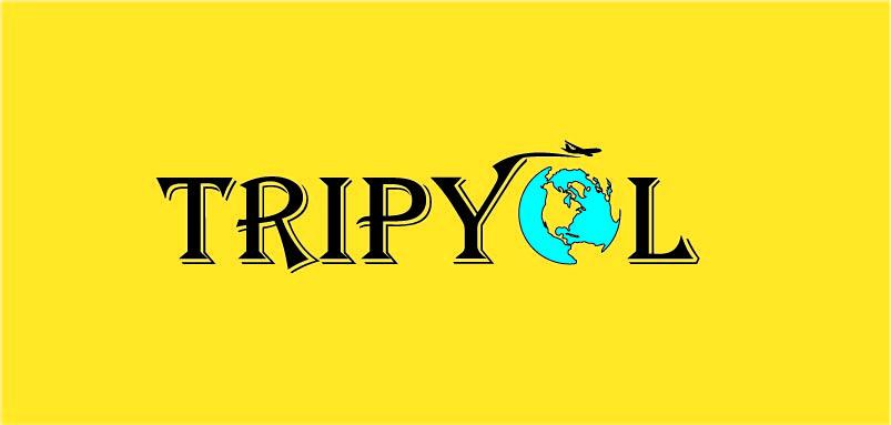 I will give you a unique and minimalist logo