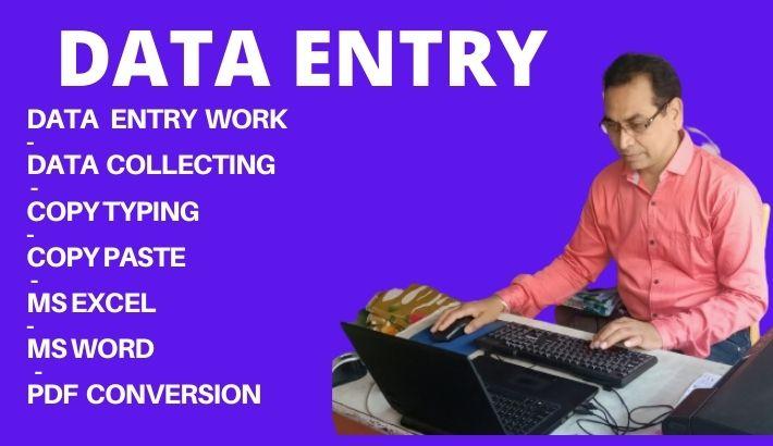 I will do excel data entry, copy paste, typing job.