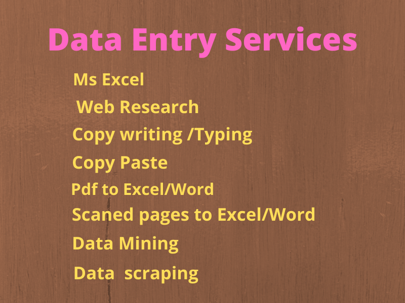I will do Data Entry, Copy Paste, Web Research and Ex...