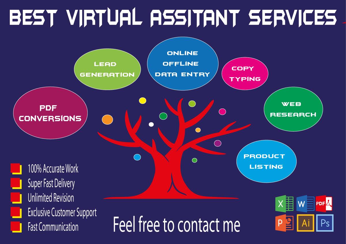 I will be your virtual assistant for data entry, cop...