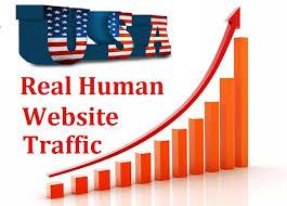 Bumper Offer 600,000 Worldwide Website USA Real Traff...