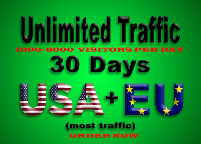 We can provide 15000 high quality web traffic from US...