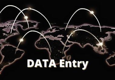 I will do professional data entry, copy paste and ty...