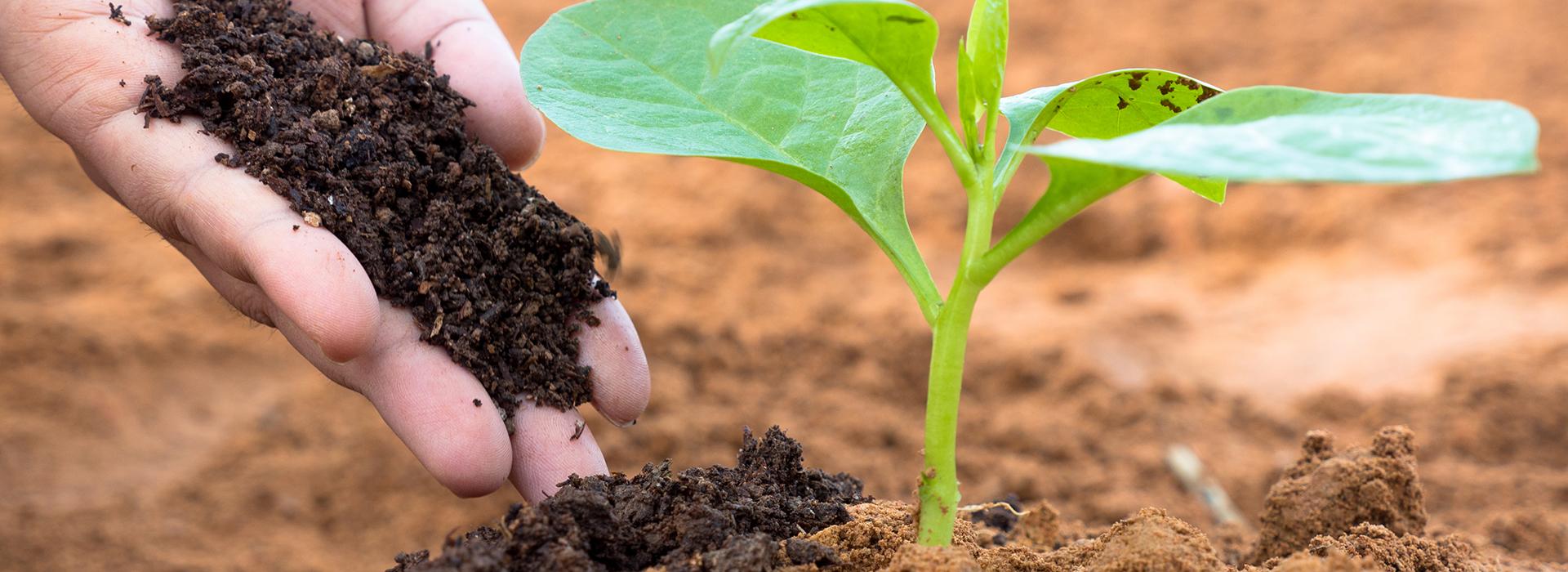 Professional writing exclusive Farm Ranch