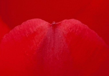 Manual High Quality 200 Blog Comments Backlinks