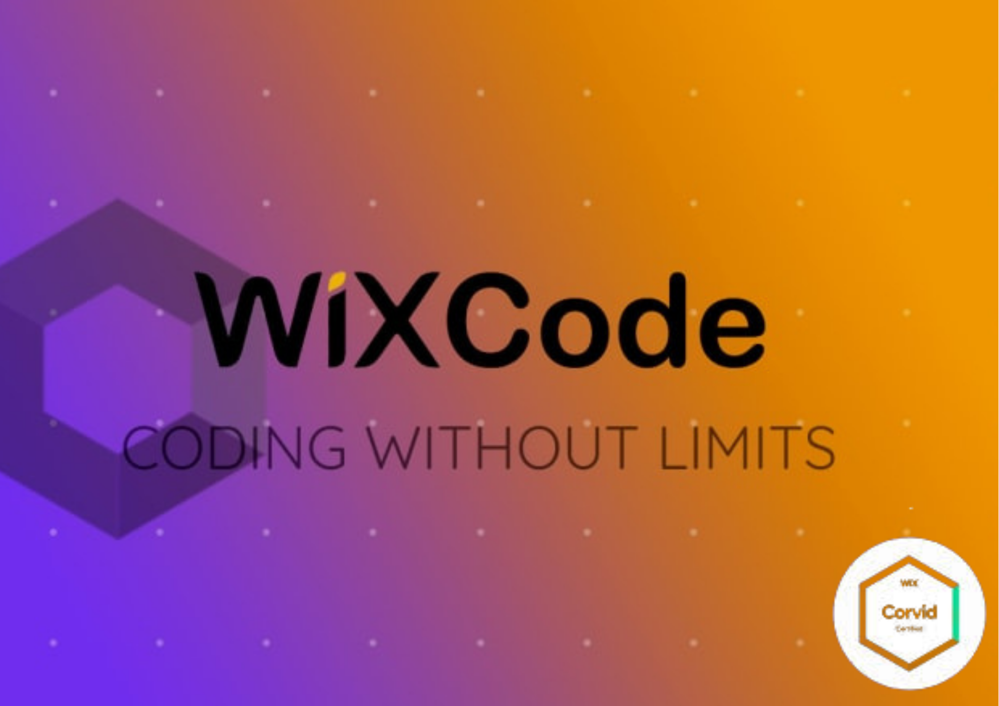 I will do wix code, wix crovid, wix database and muc...